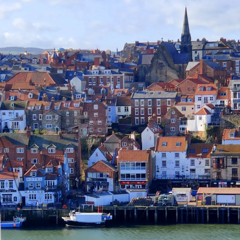 Professional Installation